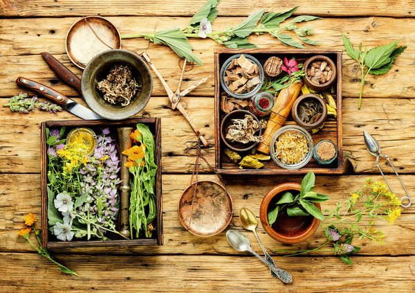 Les bienfaits insoupçonnés des plantes médicinales