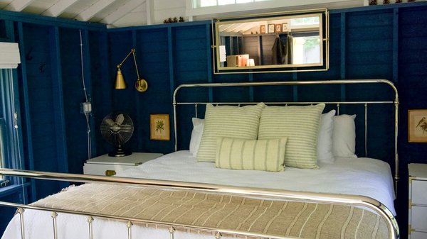 Pourquoi les punaises de lit sont-elles si difficile à éliminer ?